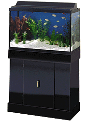 29 Gallon Hi Gloss Black Aquarium Combo
